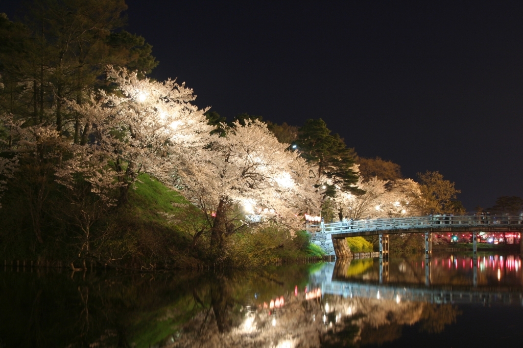 夜桜一景