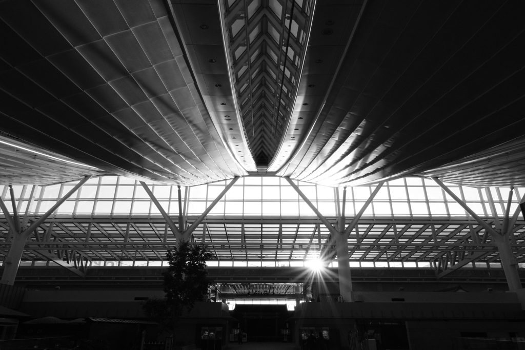 Morning Terminal