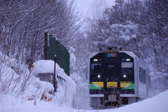 雪行　（せつこう）