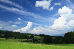 2011年の夏空　　― Landscape of SATOYAMA ―