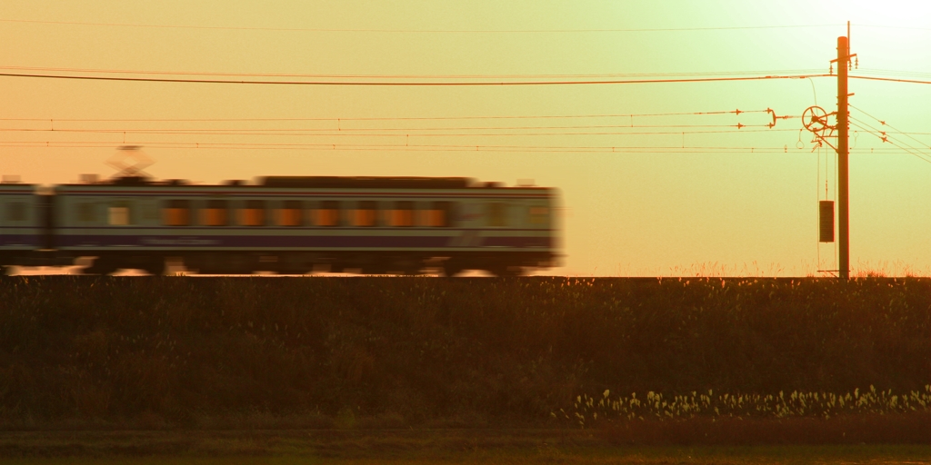 Sunset Train