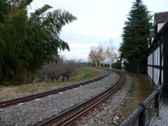 20091122_141949