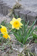 20100418_163738
