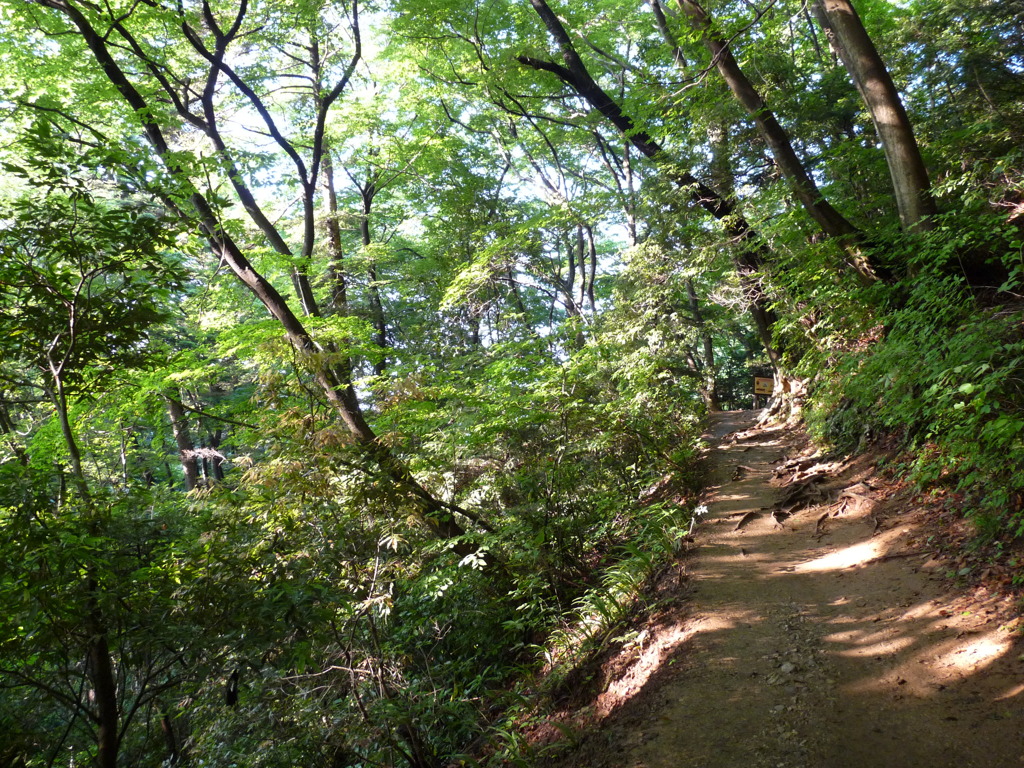 20090611_172733