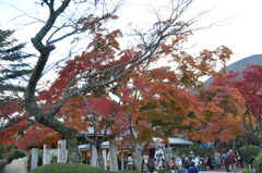 20101121_155018
