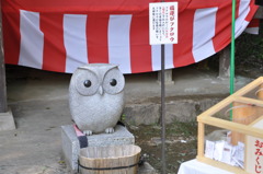 20100501_155940