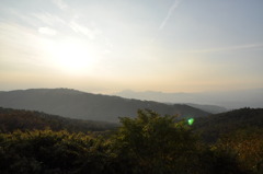 20101107_155854
