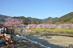 20100221_154844