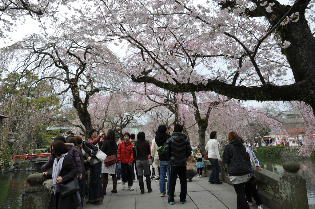 20100404_135304