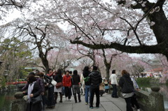 20100404_135304