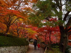 20091122_150804