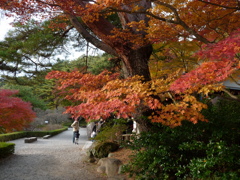 20091122_151259