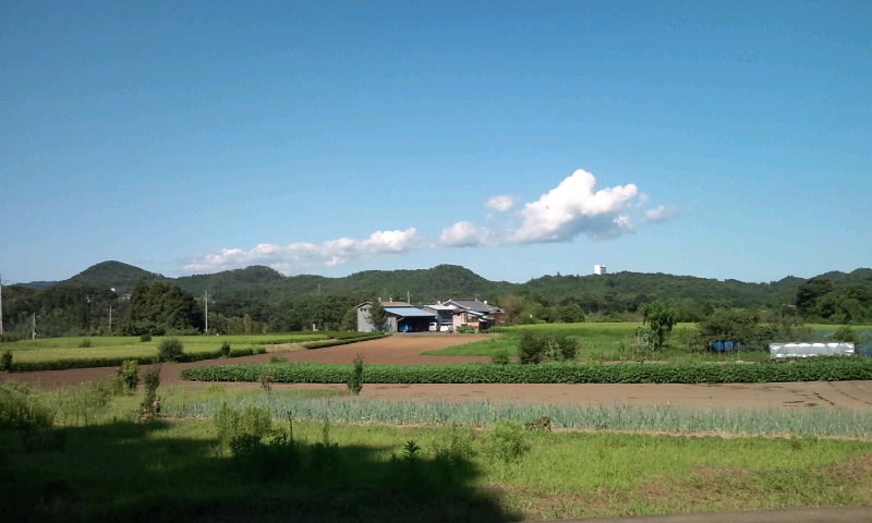20090814_151013