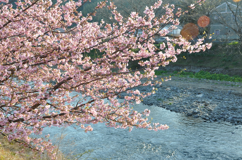 20100221_160904