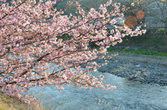20100221_160904