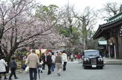 20100404_143838
