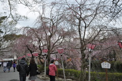 20100404_144052