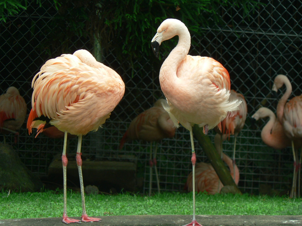 20080727_133139