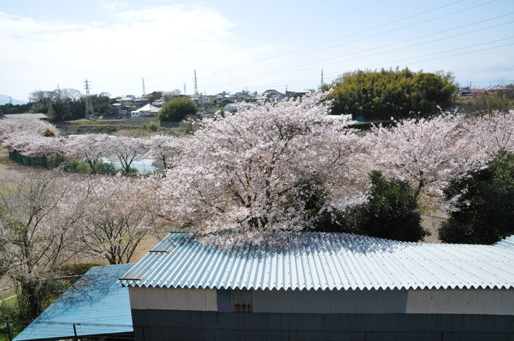 20100410_131136