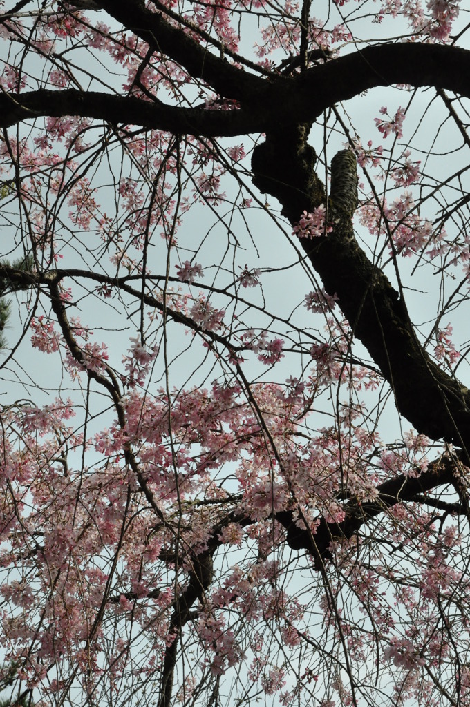 20100404_144700