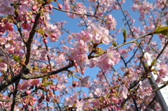 20100221_155644