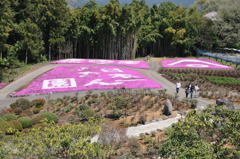 20100501_121402