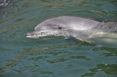 20100719_141440