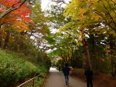 20091122_160728