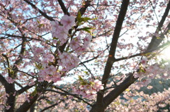 20100221_161322