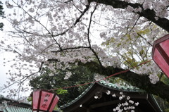 20100404_142012