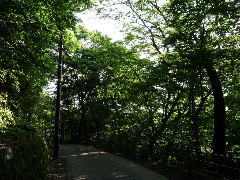 20090611_164124