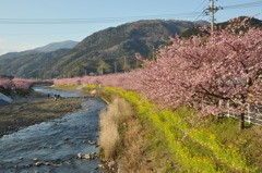 20100221_160718