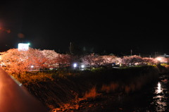 20100221_185214