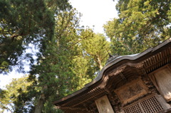 20100501_160424