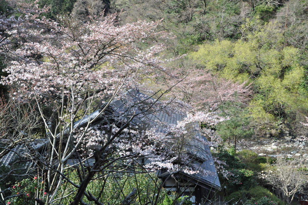 20100327_145620