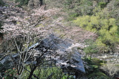 20100327_145620