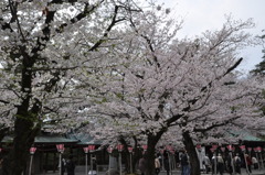20100404_143526