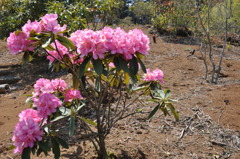 20100501_121508