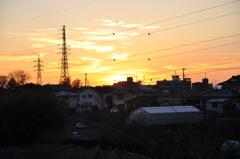 20100123_170106