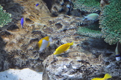 20100501_134120