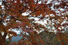 20101121_160208