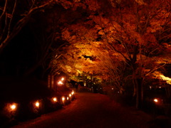 20091122_172701
