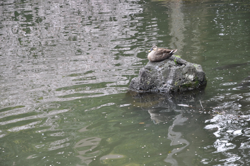 20100404_140320