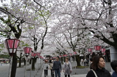 20100404_142040