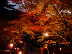 20091122_165640