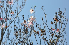 20100501_121238