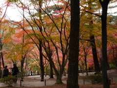 20091122_154856