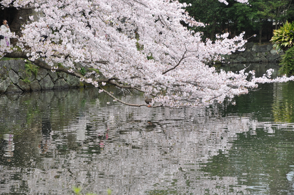 20100404_134900