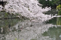 20100404_134900