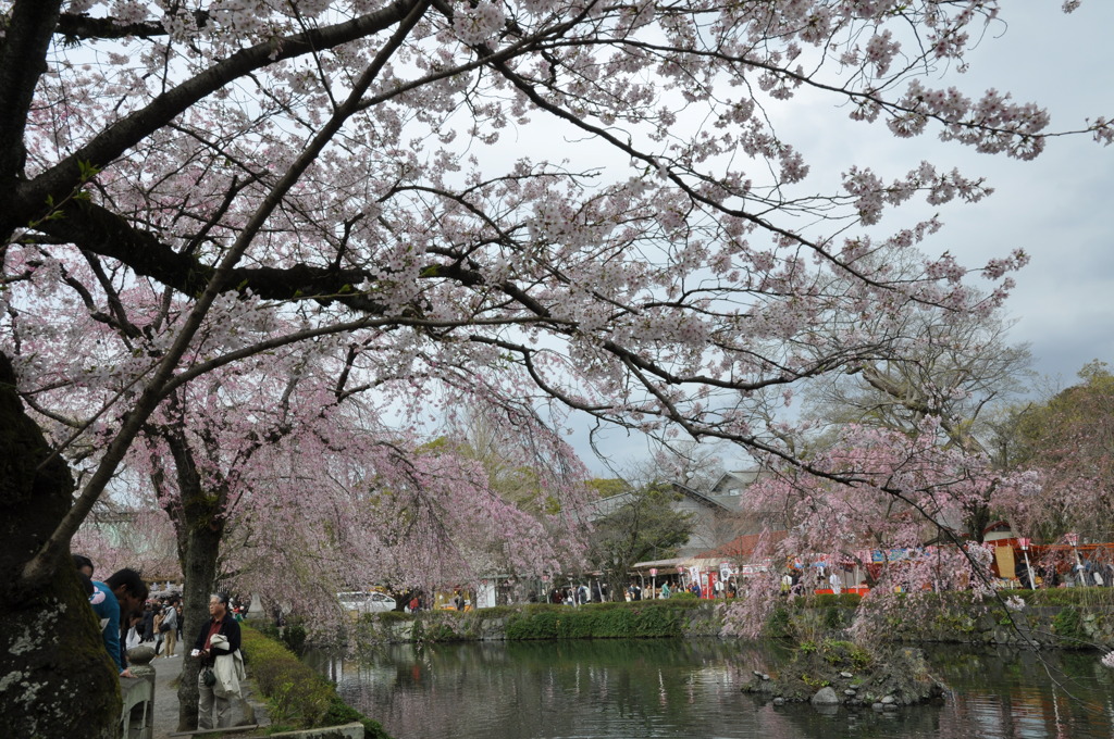 20100404_135956
